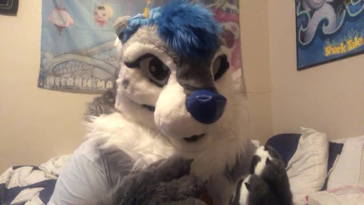 sharktie