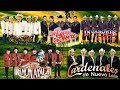 Los Cadetes De Linares, Los Tigres Del Norte, Cardenales, Conjunto Primavera, Rieleros Del Norte