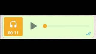 WhatsApp Audio #33