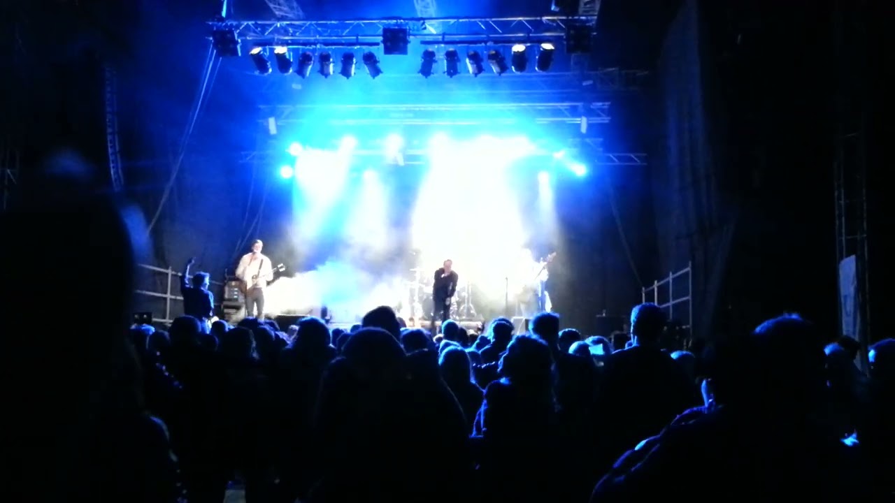 Splitter Pine - Norsk Standard Skalltaket