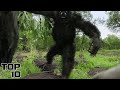 Top 10 Unsettling Bigfoot Sightings In American States The Government Is Hiding