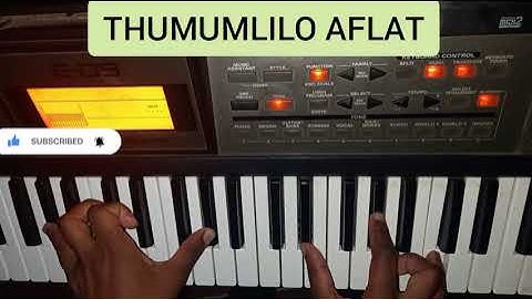 Song Tutorial-Thumumlilo Afat