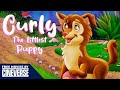 Curly: The Littlest Puppy | Full Family Animated Movie | Free Movies By Cineverse