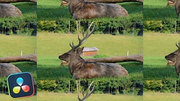 Tile Wipe Transition l Davinci Resolve 19