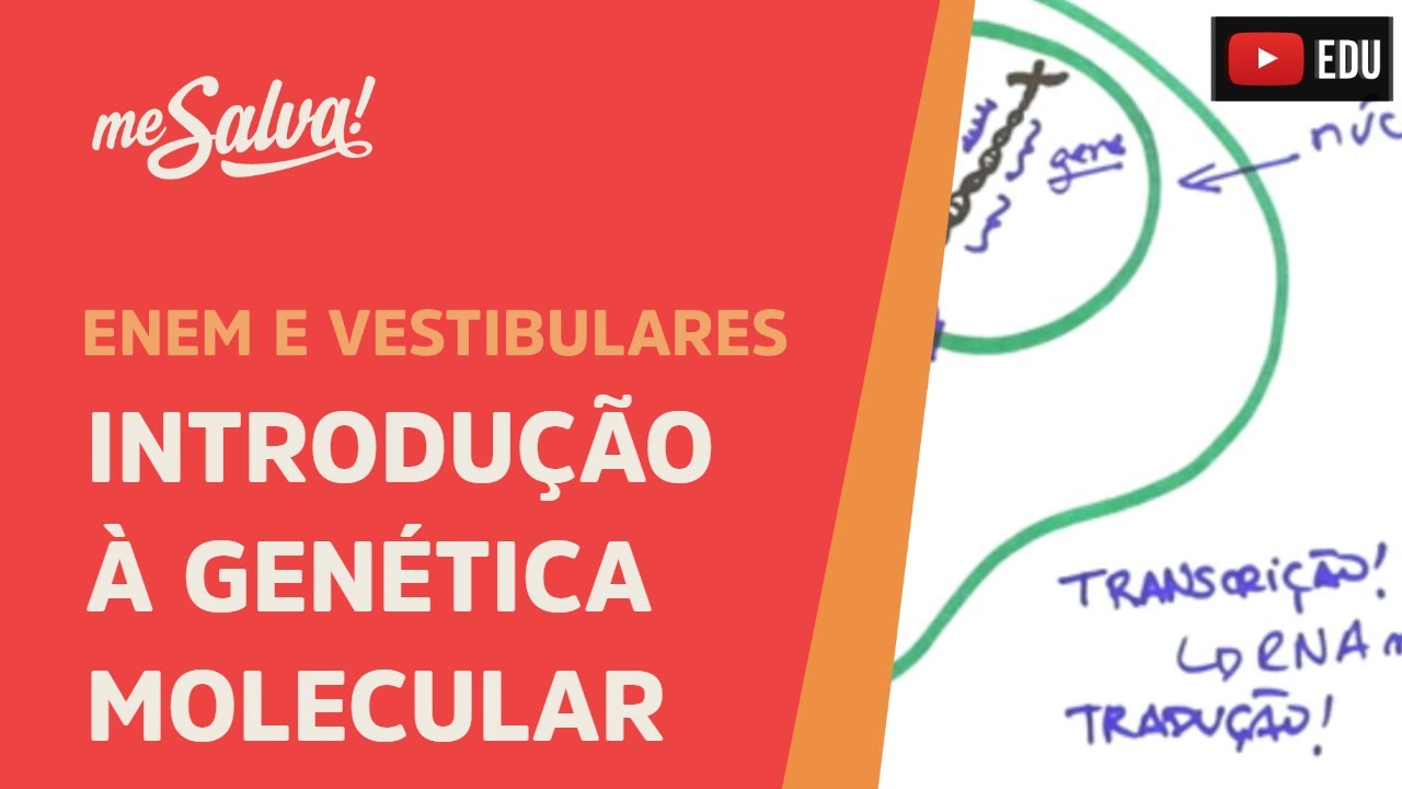Me Salva! GEN01 - Genética - Introdução à genética molecular