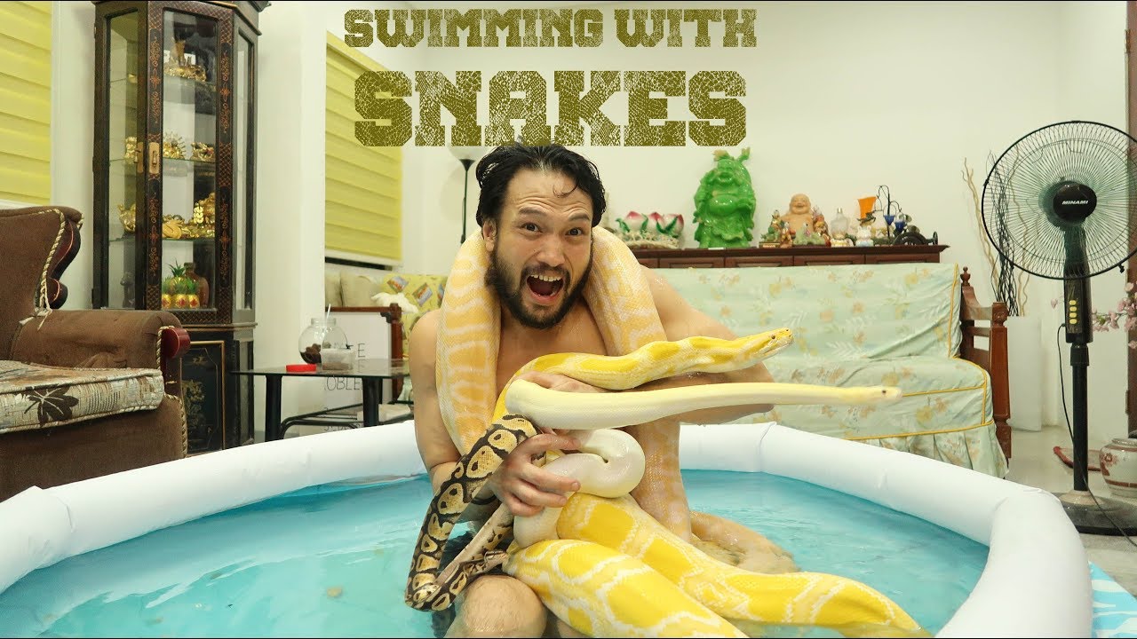 Swimming with snakes!!!! | Dadventures - YouTube