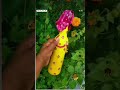 #bottleart #bottle #bottledecoration #youtube #my_artwork #my_new_post_plz_like_and_follow