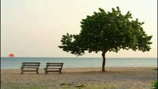 Hana Fumiko - Sesaat