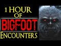 Bigfoot Ultra Marathon #10 - Over one Hour of Bigfoot Stories - Squatch-A-Thon