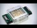 Sandia Digital Microfluidic Hub