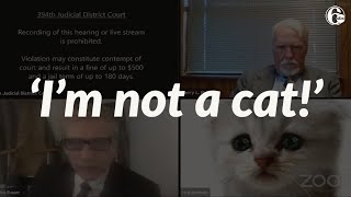 Attorney Accidentally Leaves Cat Filter On During Zoom Call I M Here Live I M Not A Cat Youtube