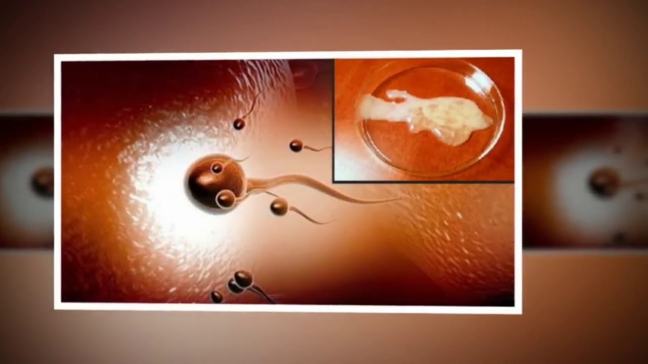 Akibat COLI ATAU ONANI !!! PRIA HARUS TAU - YouTube