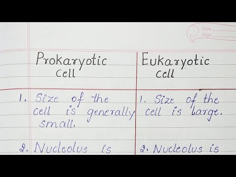 Difference between Prokaryotic cell and Eukaryotic cell