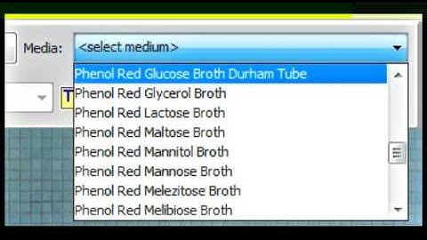 VUMIE Quick Start #9: Identifying Bacteria