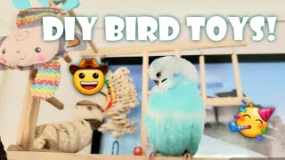 5 DIY Budgie Toys! *foraging* by Puff Pets 3,401 views 4 years ago 5 minutes, 23 seconds