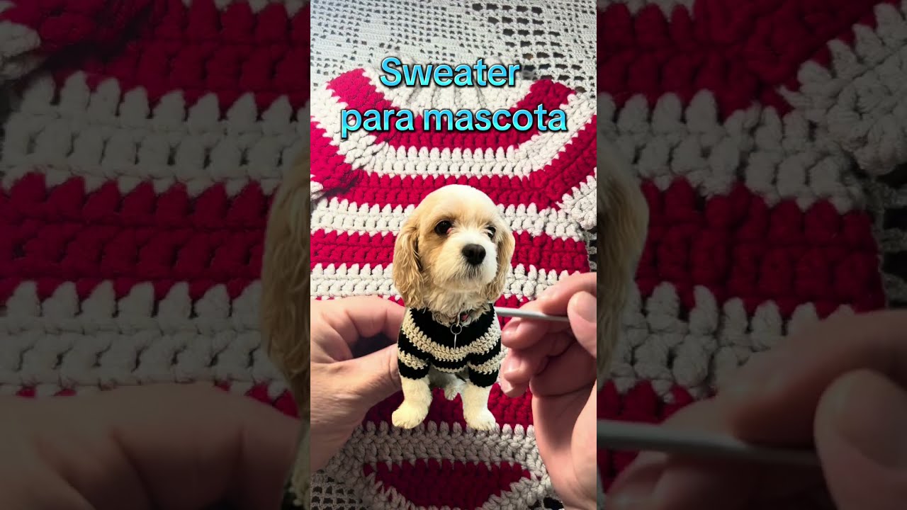 #Como hacer un traje para mascota#crochet#perro#gato