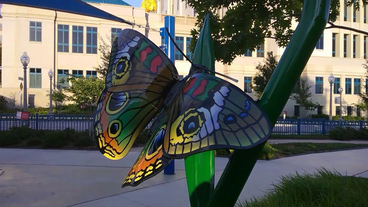 Cooks children's hospital YouTube