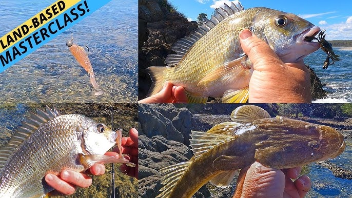 LAND BASED LURE FISHING FOR FLATHEAD & BREAM In The Lower Estuary