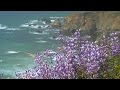 Relaxing music peaceful music instrumental music majestic sea by tim janis