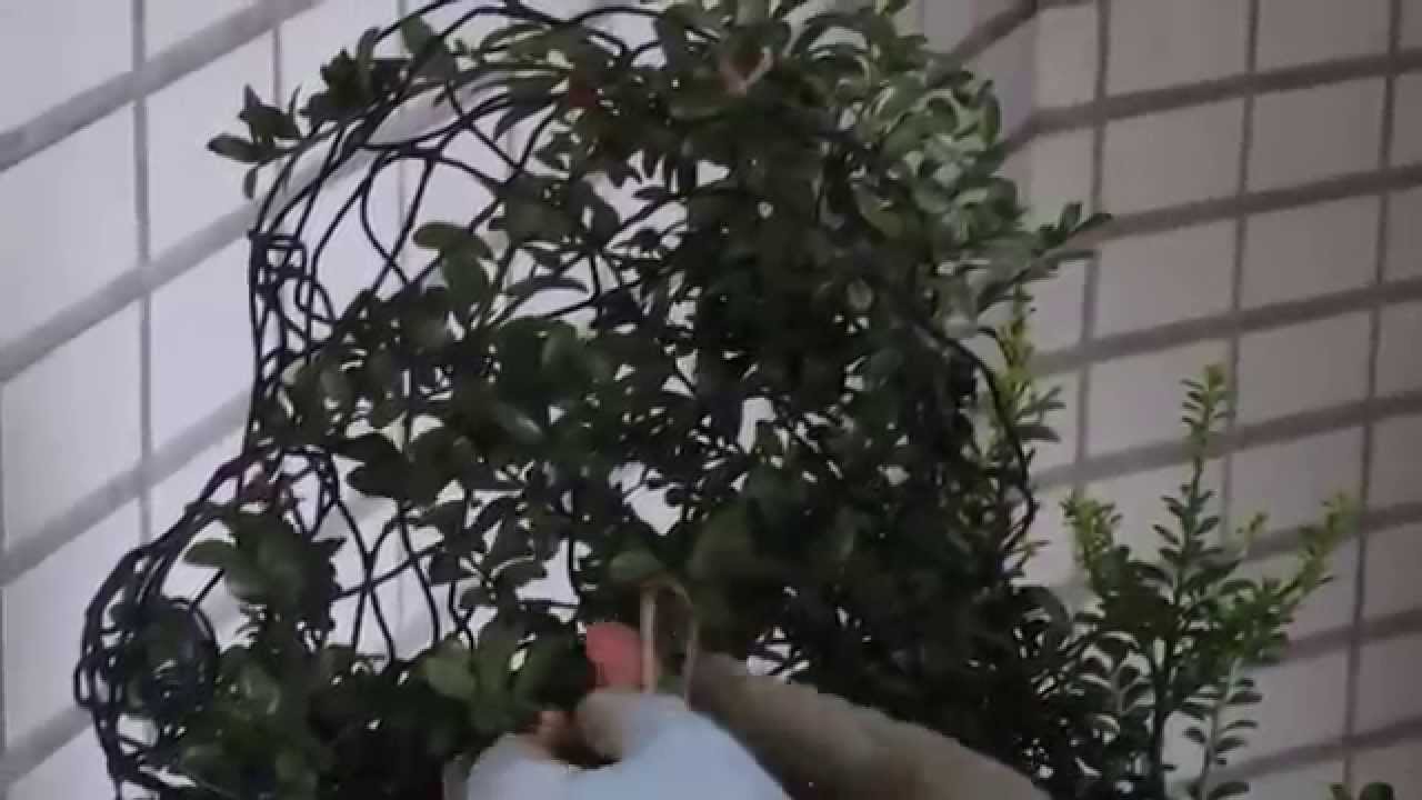刈り込みトピアリーの作り方 How To Make Topiary 1 Youtube