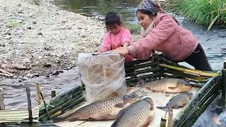 Download Lagu Smart Girl Uses Bamboo To Create A Unique Trap To Catch Many Giant Fish MP3
