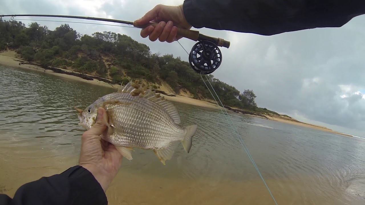 Fly Fishing for Bream YouTube