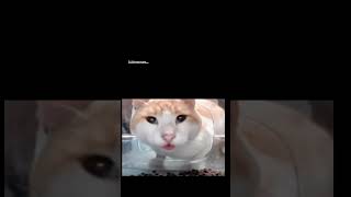 Me Realizing People Are Getting Thousands Of Views From This Sound