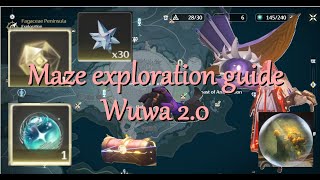 Maze Exploration Guide in Fagaceae Penisula |Wuthering Waves 2.0|