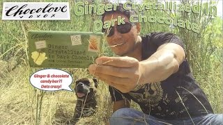Chocolove Ginger Crystallized In Dark Chocolate Delectable Chocolate Dipped Crystallized Ginger
