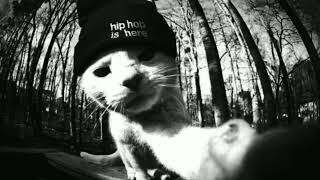 Rap Blackmiau Type Instrumental Beat - Prod.22Dmente Kraken Producciónes Mmm
