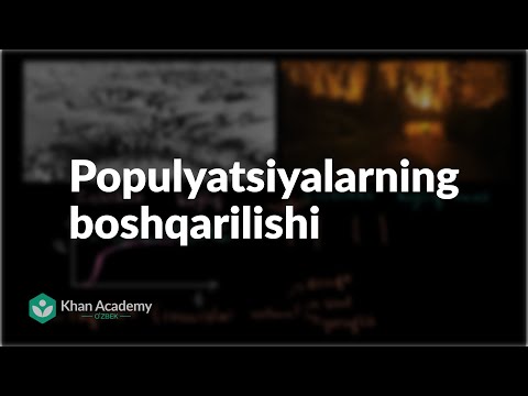 Video: Biologiyada dinamik jarayon nima?