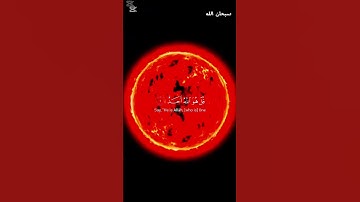 سورة الاخلاص #اكسبلور #المصحف #الرحمن #راحة_نفسية