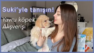 yeni köpeğim | yavru köpek İÇİN alışveriş