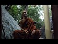 Separate From Feelings | 2022-11-05 | Bhante Joe