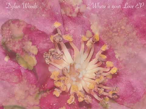 Dylan Woods - Where Is Your Love