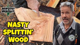 The Hardest Hand Splitting Fire Wood Around