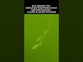 Попался судак #рыбак #fishing #рыбалка #судак #ловлясудака #рыба