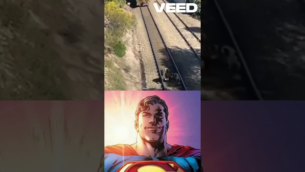 Man Rescues Dog Tied to Train Tracks