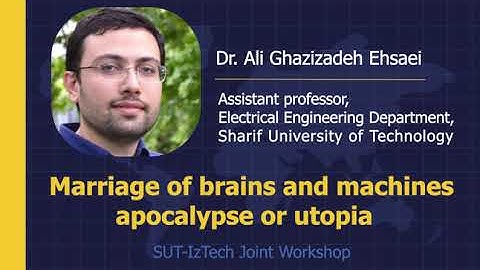 Marriage of brains and machines: apocalypse or utopia