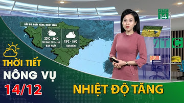 Thời tiết nông vụ 14/12/2021:Bắc bộ nắng ráo, nhiệt độ tăng nhẹ| VTC14