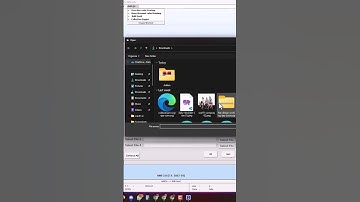 Busy Bulk WhatsApp Send Addon #whatsappapi #busysoftware #botmastersender