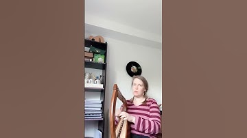 How does this Harp sound? 12-string harp, ebay #harpmusic #harps #leverharp