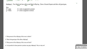 Epistasis Sample Problem 1