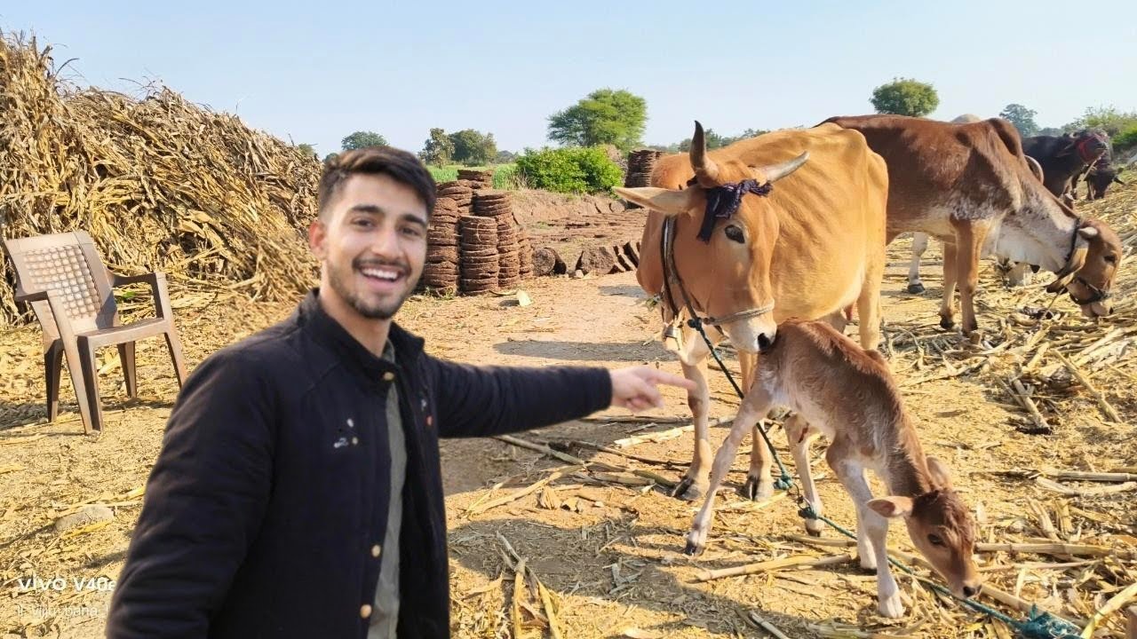 New Mehamaan ka Aagman 😃 |