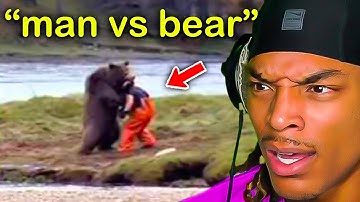 How To ACTUALLY Survive Every Apex Predator