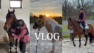 ⭐️ • Vlog Stajenny || 2 konie w jeden dzień?! || Poznajcie… • ⭐️