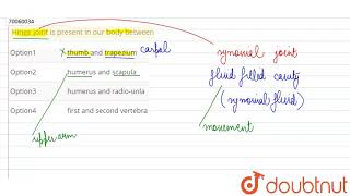 Hinge joint is present in our body between