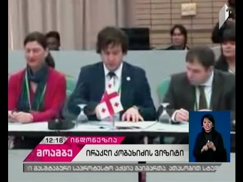 ირაკლი კობახიძე ინდონეზიის წარმომადგენლობითი პალატის ვიცესპიკერს შეხვდა