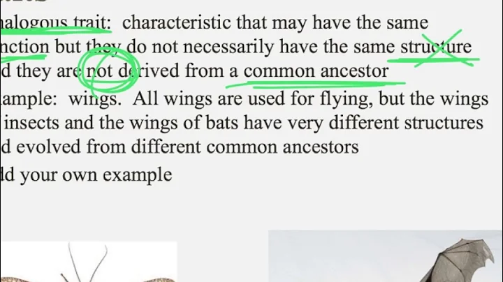 Notes for IB Biology Chapter 5.4