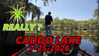 CADDO LAKE 7-25-2026